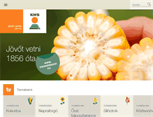 Tablet Screenshot of kws.hu